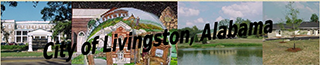 City of Livingston