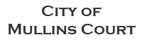 City of Mullins Citations